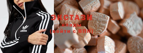 PSILOCYBIN Алзамай