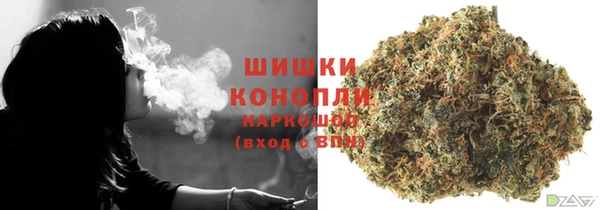 PSILOCYBIN Алзамай