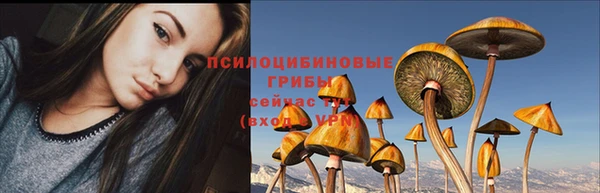 PSILOCYBIN Абдулино