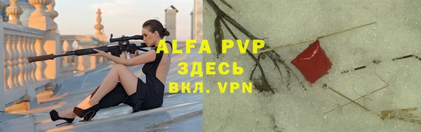 мяу мяу мука Абаза
