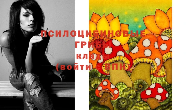 PSILOCYBIN Абдулино