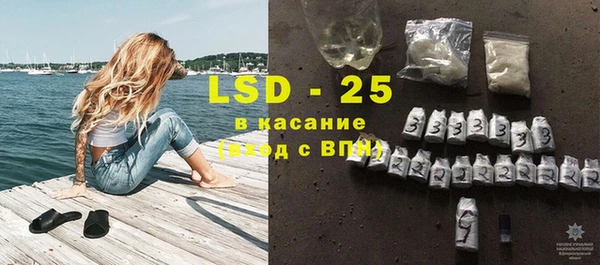 PSILOCYBIN Алзамай