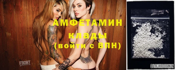 PSILOCYBIN Алзамай